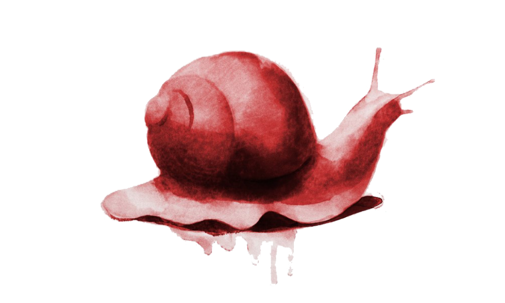 Escargot Rouge